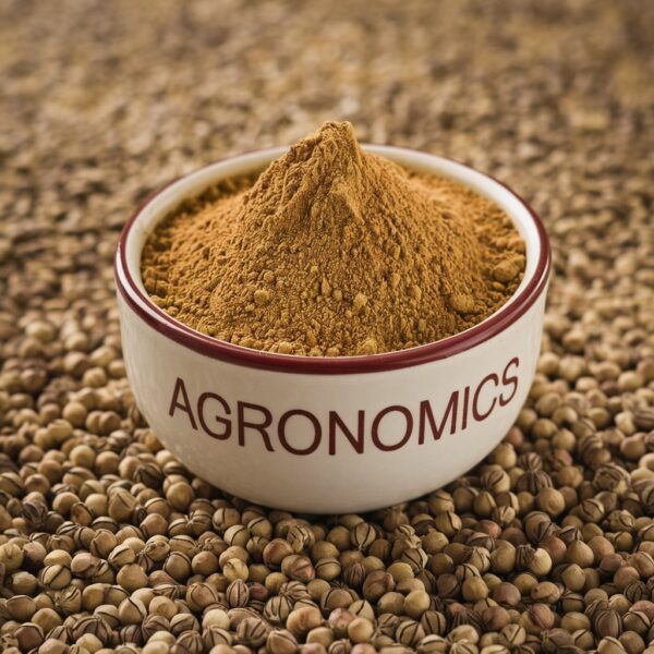 Coriander Powder - Image 2