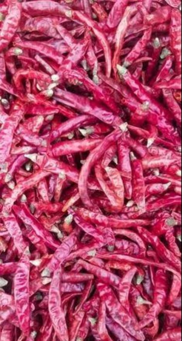 Dry Red Chillies - Image 5