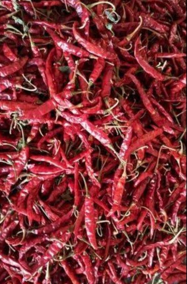 Dry Red Chillies - Image 6