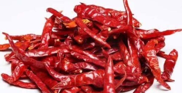 Dry Red Chillies - Image 4