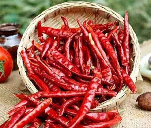Dry Red Chillies - Image 3