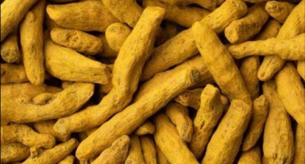 Turmeric Fingers - Image 8