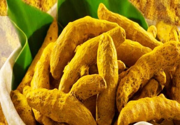 Turmeric Fingers - Image 7