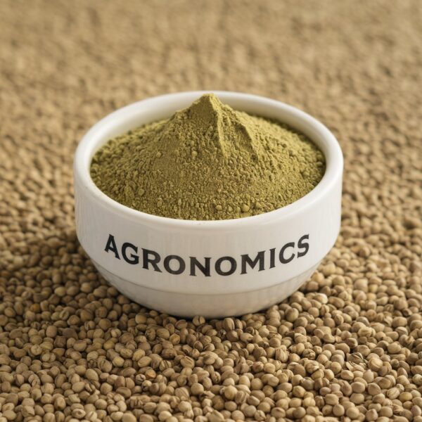 Coriander Powder