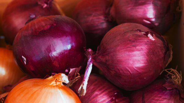Red Onions - Image 2